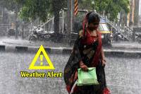 Weather Alert in 30 districts of MP IMD Alert for Rain