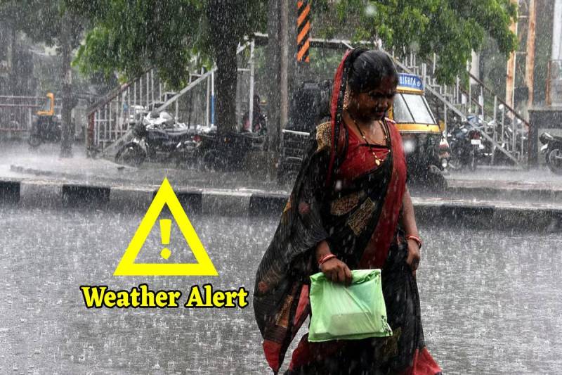 Weather Alert in 30 districts of MP IMD Alert for Rain