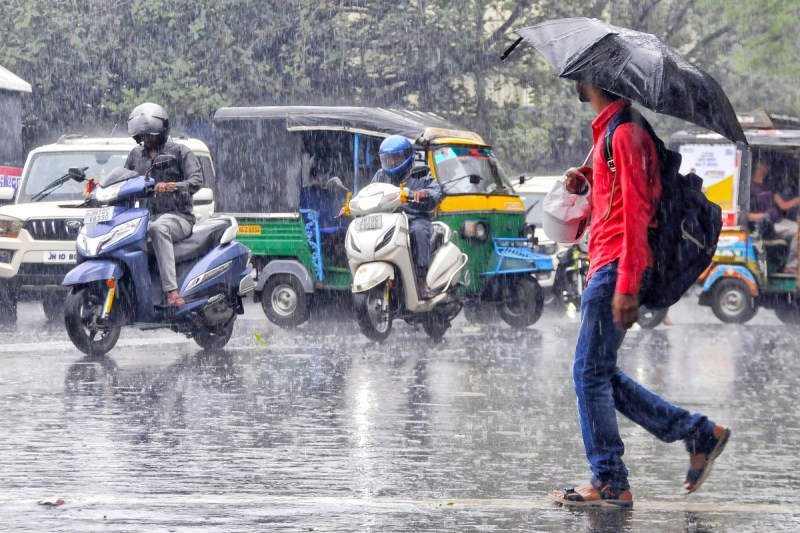 meteorological department released latest weather update