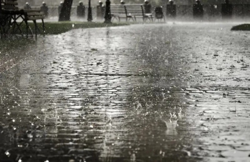 Heavy rain alert by IMD