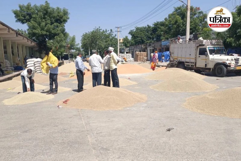 bajra rate today