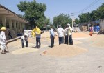 krishi mandi