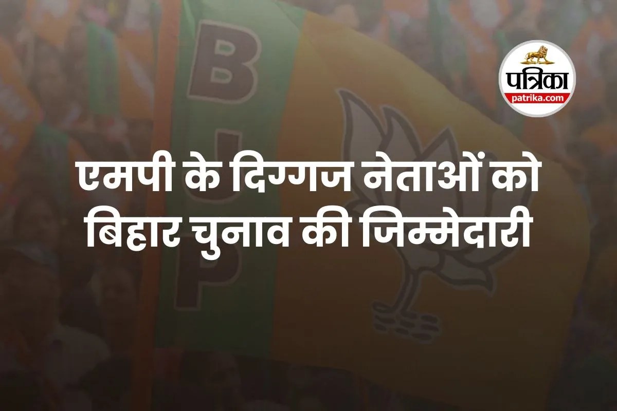 mp news