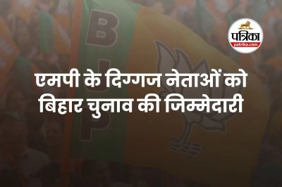mp news