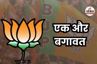 mp news