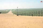 BSF jawan commits suicide