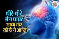 Brain, Brain activity, brain health, brain activity, Harmful habits for the brain,