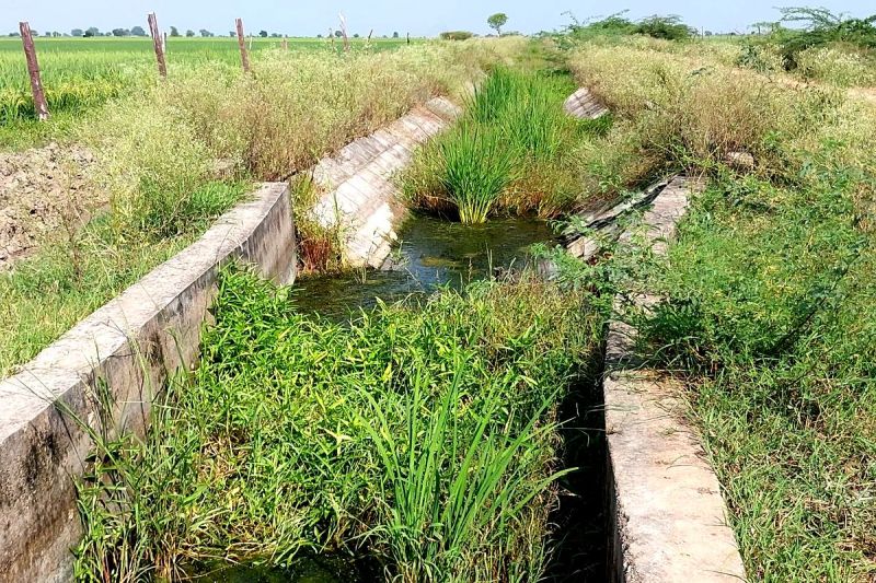 वितरिकाओं की साफ-सफाई नहीं हुई, कैसे पहुंचेगा टेल तक पानी