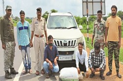 CG Crime: लग्जरी कार से तस्करी, 11 किलो गांजा के साथ तीन तस्कर हुए गिरफ्तार - image