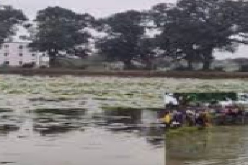 CG News: कमल तोड़ने तालाब में उतरे, सीएसवीटीयू के डिप्टी रजिस्ट्रार की डूबने से मौत