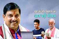 MP News