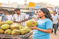 World Coconut day: एनर्जी ड्रिंक से भी हेल्दी है नारियल पानी, रायपुर में रोजाना 10 ट्रक नारियल की खपत