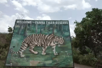 irs officer illegal construction panna tiger reserve eco sensitive zone mp news