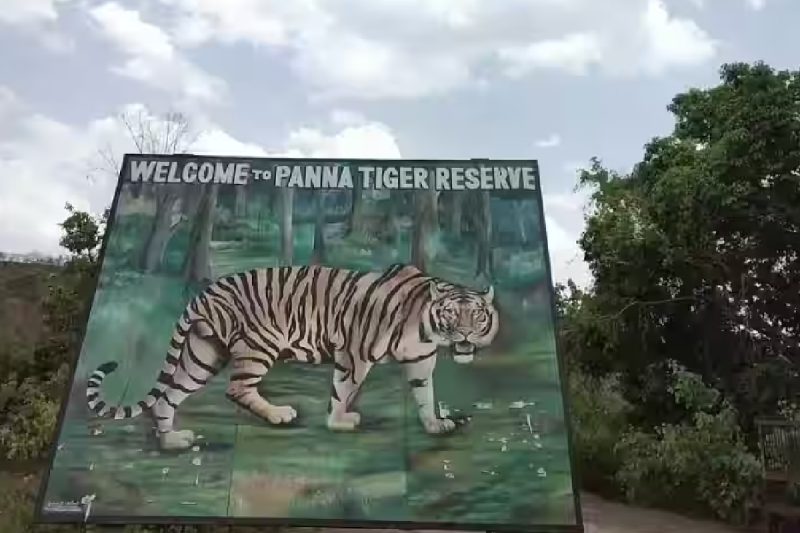 irs officer illegal construction panna tiger reserve eco sensitive zone mp news