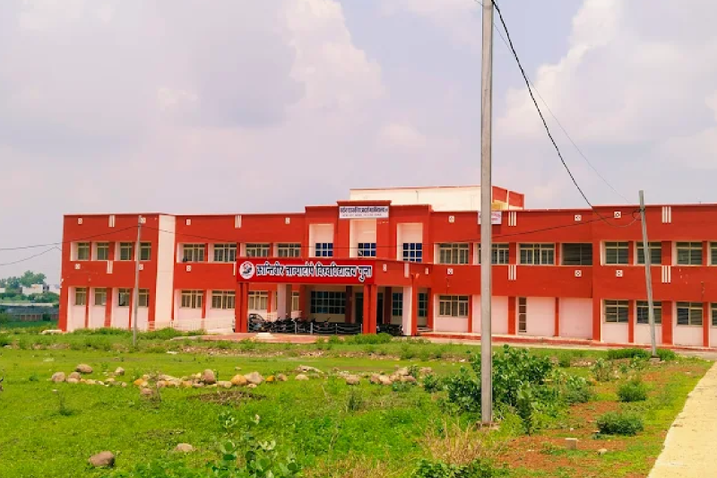 Krantiveer Tatya Tope University ug results error ashoknagar mp news