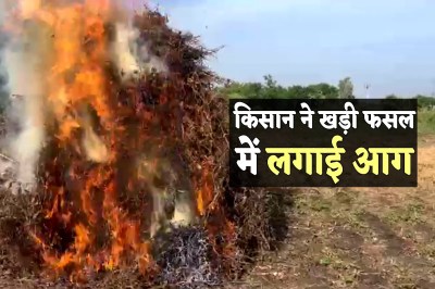 Mandsaur News