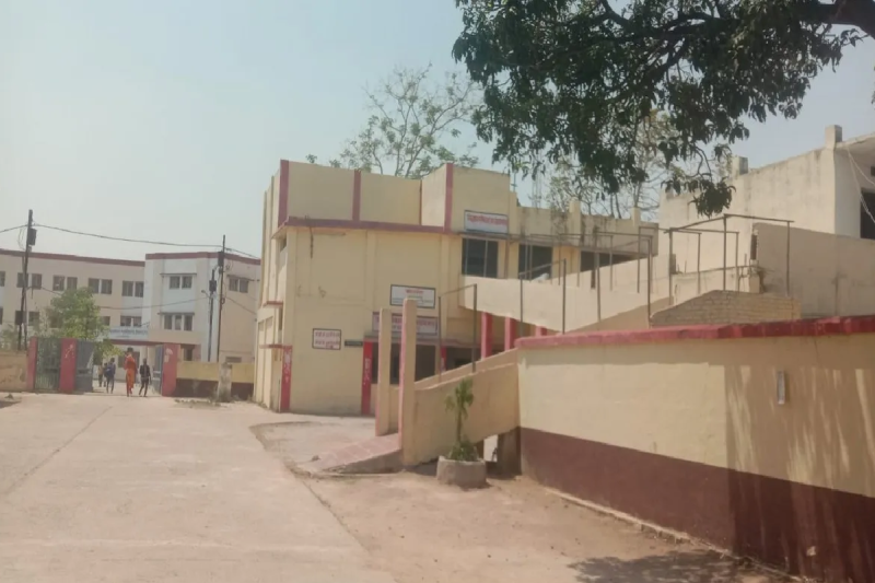 arts students to choose science commerce subject nep 2020 tikamgarh mp news