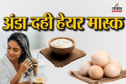 Dahi Egg Hair Mask: केमिकल नहीं, अंडे और दही से घर पर ही पा सकते हैं स्मूद और
शाइनी बाल - image