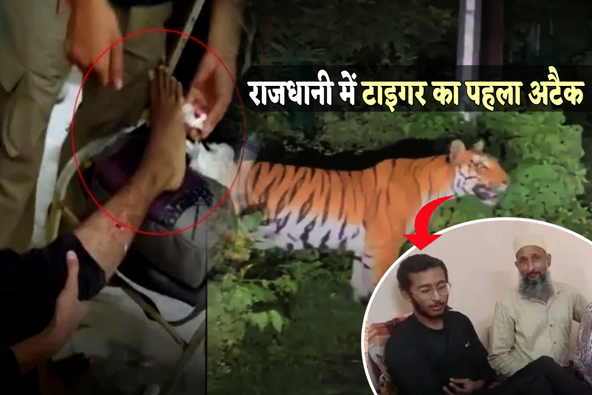 Tiger Attack On Student