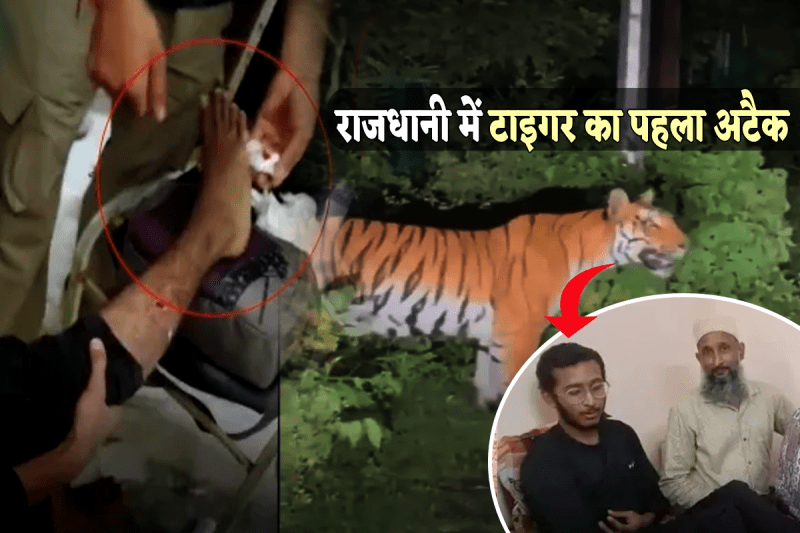 Tiger Attack On Student