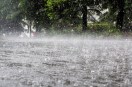 Heavy rain alert issued by IMD