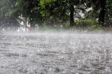 Heavy rain alert issued by IMD