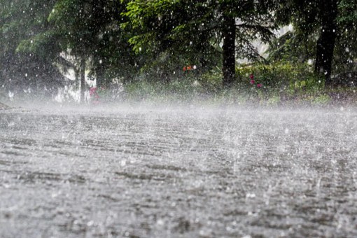 Heavy rain alert issued by IMD