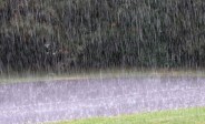 Heavy rain alert issued by IMD