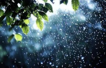 Heavy rain alert by IMD
