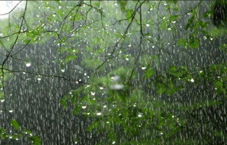 IMD issues heavy rain alert