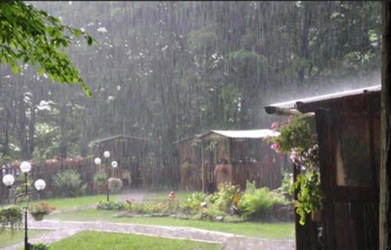 Heavy rain alert issued by IMD