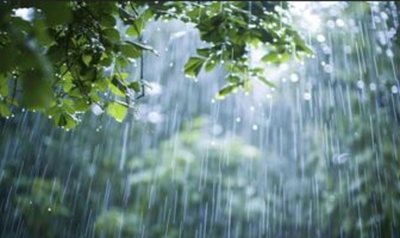 IMD Issued heavy rain alert