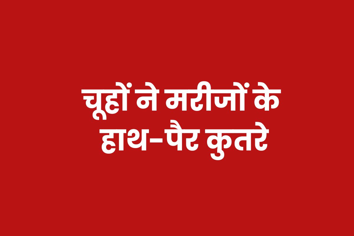 jabalpur news