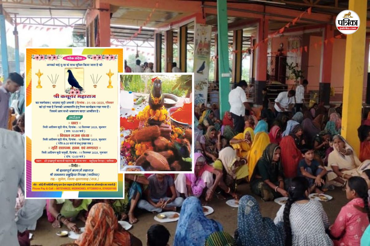 Rajasthan Jhalawar A Pigeon Died whole village sad last rites religious customs thousands people attended Funeral Feast