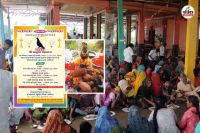 Rajasthan Jhalawar A Pigeon Died whole village sad last rites religious customs thousands people attended Funeral Feast