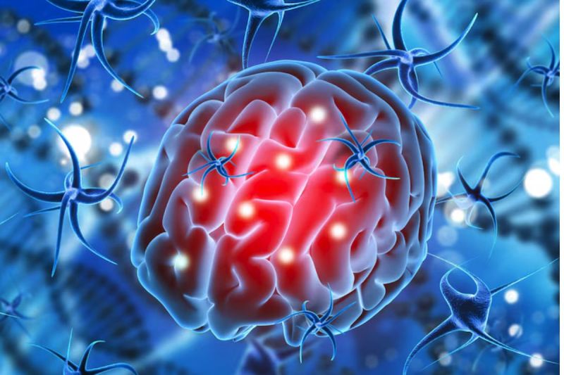 Amoebic Meningoencephalitis Cases
