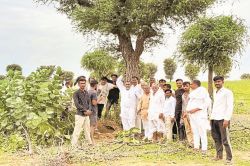 खेजड़ी काटने पर बढ़ी निगरानी, तो लगाई नई तिकड़म, अब छेद कर जड़ों में डाल रहे
कैमिकल व यूरिया - image