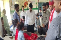 lizard in mid day meal