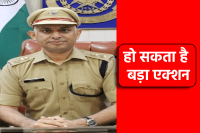 mp news