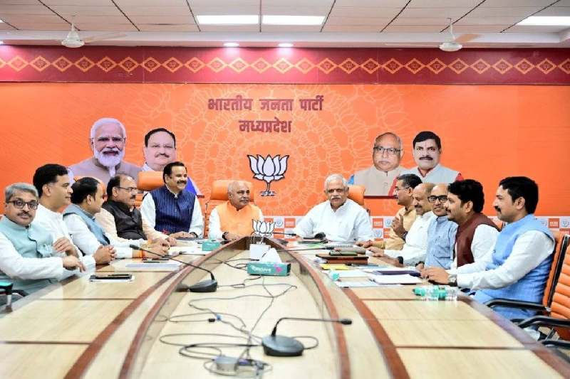 MP BJP News