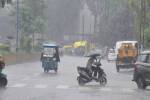 mp weather