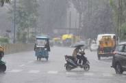 mp weather