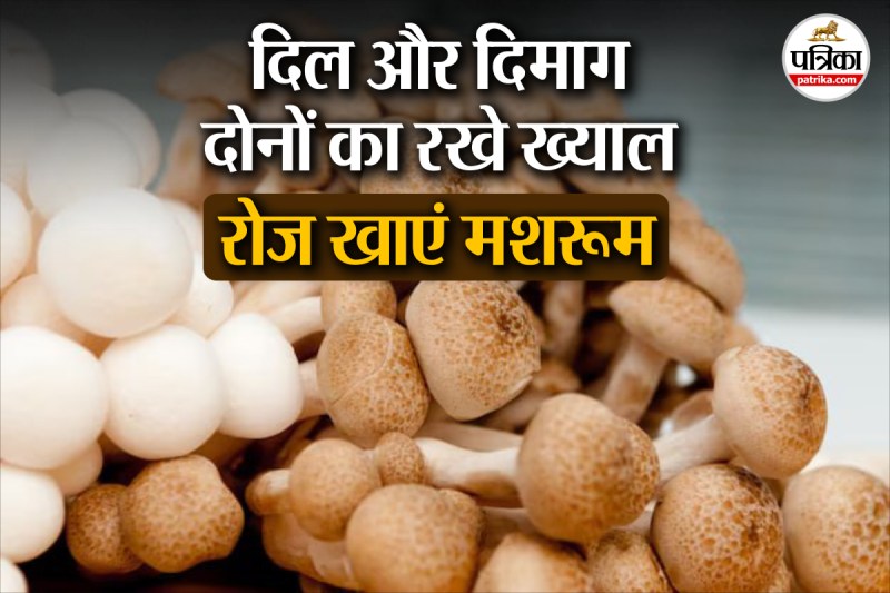 Daily diet for brain and heart,Mushrooms as brain boosters, Mushroom health benefits study,