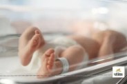new born baby