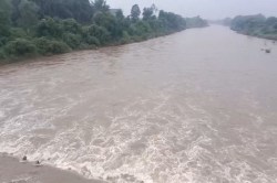 गुजरात के कई जिलों में भारी बारिश की चेतावनी, 5 जिलों में रेड अलर्ट - image