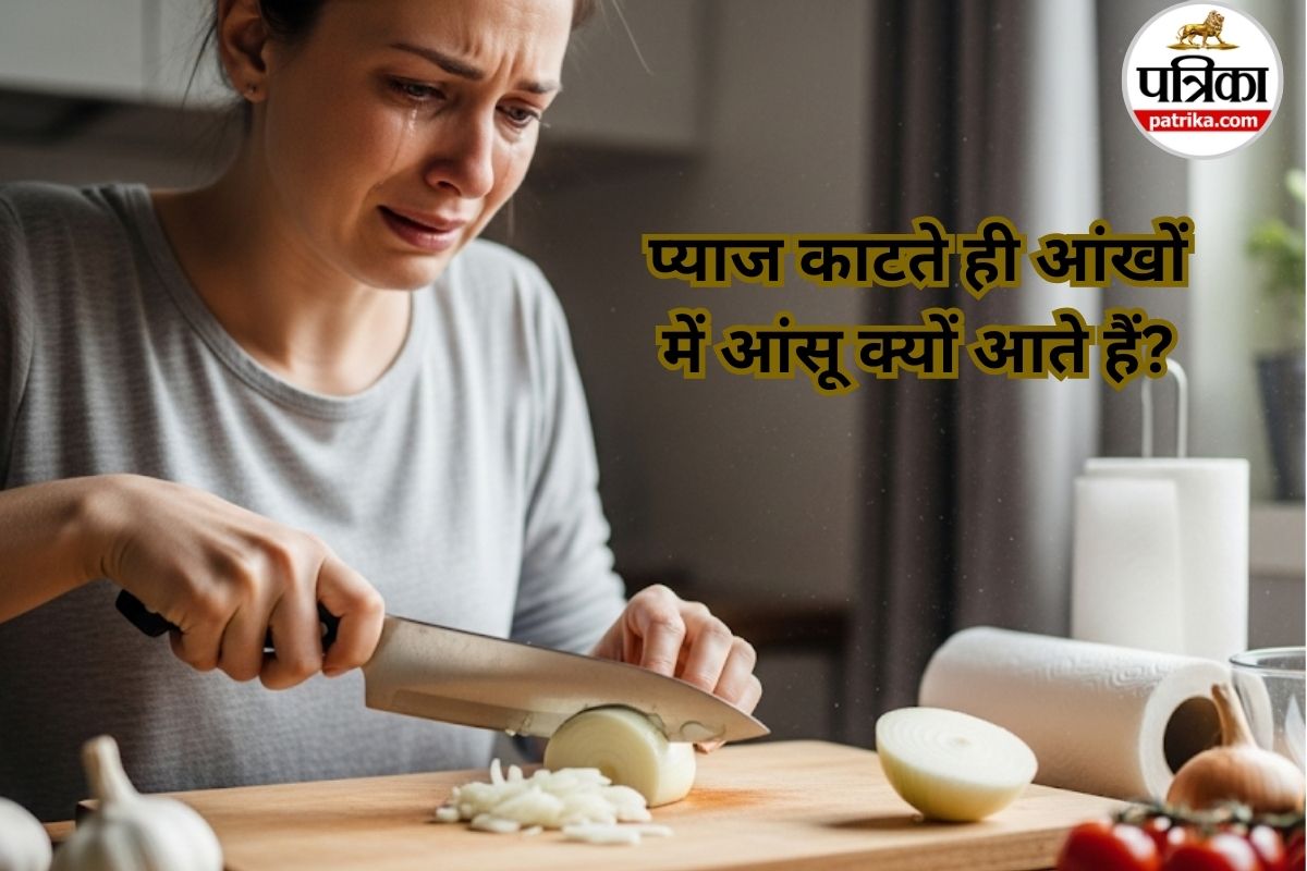 Why Do Onions Make You Cry,why do onions make you cry, onion tears science,