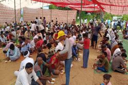 कोटकासिम में  बाबा श्याम का सजा दरबार, श्रद्धालुओं में उत्साह - image