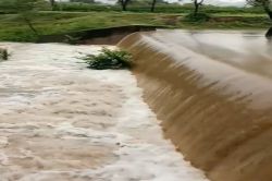 VIDEO: बारिश के बाद पलासन नदी में तेज हुआ पानी का बहाव, एनीकटों पर चली चादर - image