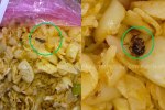 divisional school sports competition players received worm-infested food mp news