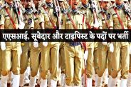 Government Job